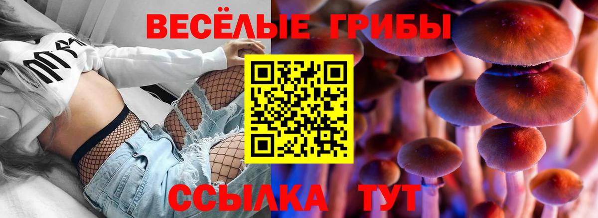цена   Псилоцибиновые грибы Psilocybine cubensis  Вход с VPN  Галлюциногенные грибы мицелий  Энгельс 